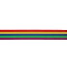 taille-elastiek 2,5 cm breed: &quot;regenboog&quot;  / HALVE METER