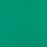 taslan jassenstof groen/jade