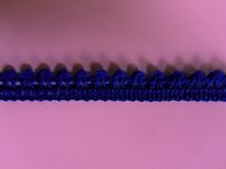 minibolletjesband, blauw