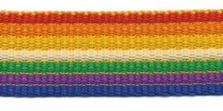 stevig tassenband 2,5 cm breed, regenboogstreep