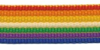 stevig tassenband 2,5 cm breed, regenboogstreep