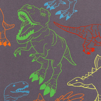 Fiete softshell: leuke dino's op grijze softshell
