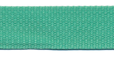 stevig tassenband 2,5 cm breed, mint
