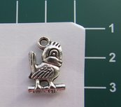 bedeltje: lief vogeltje op een tak bedeltje: lief vogeltje op een tak
