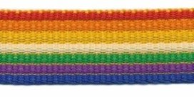 stevig tassenband 2,5 cm breed, regenboogstreep stevig tassenband 2,5 cm breed, regenboogstreep