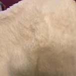 100% katoen teddy fleece offwhite 100% katoen teddy fleece offwhite