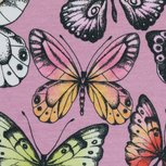 Theo: tricot roze met vlinders Theo: tricot roze met vlinders