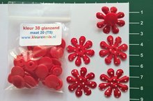5 rode stevige dunne rood-met-witte-stip-bloemen met bijpassende snaps maat 20