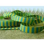 streepjesband, turquoise geel