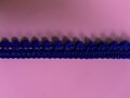 minibolletjesband, blauw