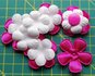 5 fuchsia bloemen met witte bloemblaadjes erop en bijpassende snaps maat 20_