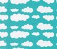 coupon 115 cm: Verena, mooie mintkleur tricot met wolkjes_
